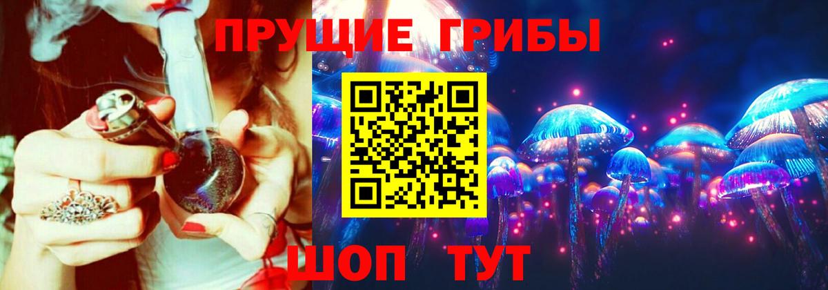 Псилоцибиновые грибы Cubensis Обнинск